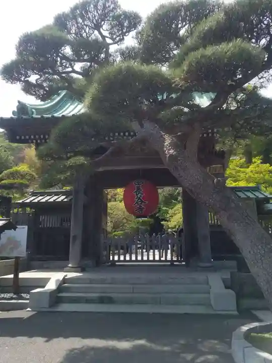 長谷寺の山門・神門