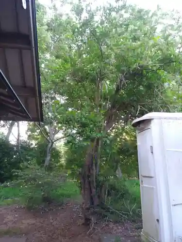 産土明神の自然