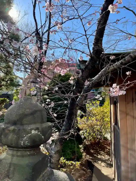 清光院(東京都)