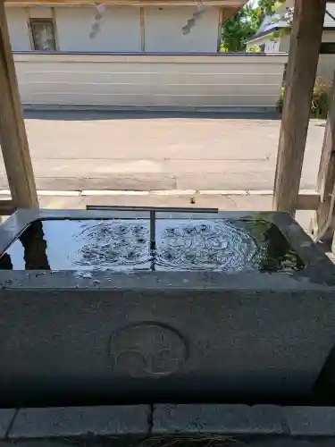 亀田八幡宮の{uncategorized: "未分類", other: "その他", undefined: "問題あり", building: "その他建物", grave: "お墓", sacred_gate: "鳥居", guardian: "狛犬", statue: "像", buddha: "仏像", history: "歴史", nature: "自然", garden: "庭園", animal: "動物", pagoda: "塔", temizu: "手水舎", mountain_gate: "山門・神門", sanctuary: "本殿・本堂", subordinate: "末社・摂社", art: "芸術", scenery: "景色", jizo: "地蔵", ema: "絵馬", goshuin: "御朱印", omikuji: "おみくじ", items: "授与品その他", amulet: "お守り", goshuincho: "御朱印帳", eats: "食事", festival: "お祭り", votive_dance: "神楽", shichigosan: "七五三参", wedding: "結婚式", experience: "体験その他", initially: "初詣", around: "周辺", anti_infection: "感染症対策"}