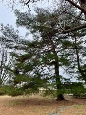 陸奥国分寺薬師堂(宮城県)