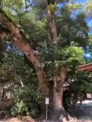 白鳥神社の建物その他