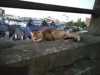阿智神社の動物
