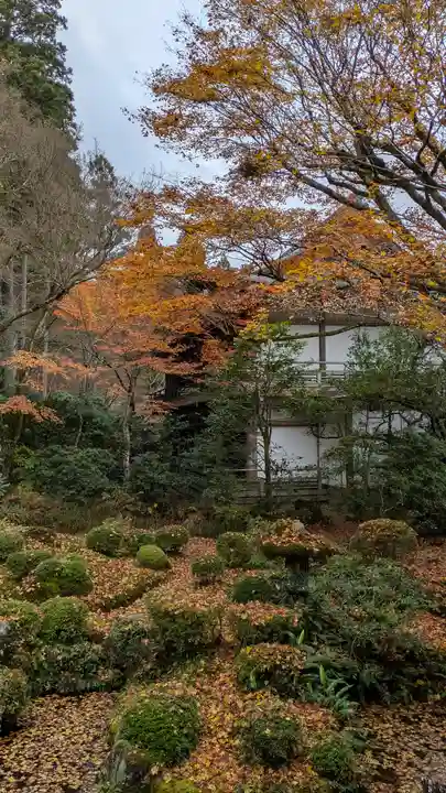 三千院門跡(京都府)