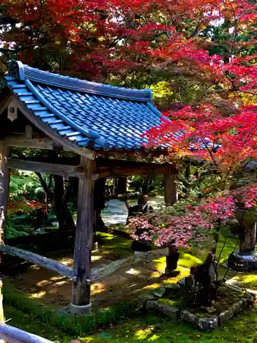 瓦屋寺の建物その他