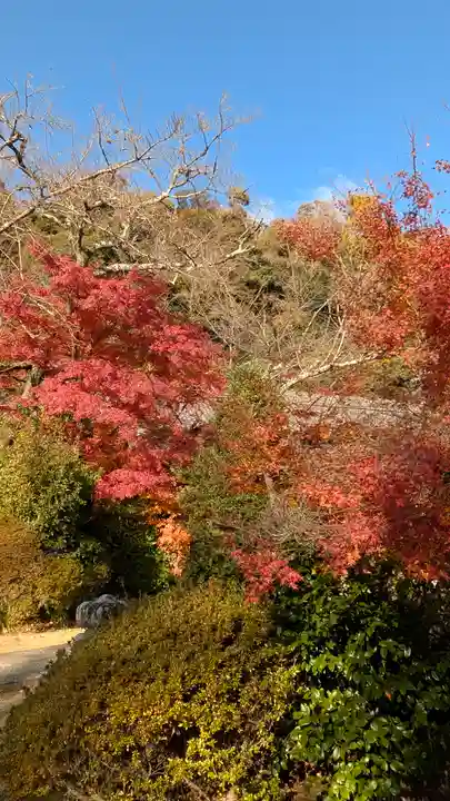 観音寺(山崎聖天)(京都府)