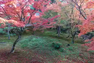 東福禅寺(東福寺)(京都府)