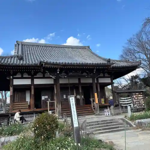 般若寺 ❁﻿コスモス寺❁(奈良県)