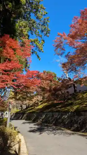 曼殊院門跡(京都府)