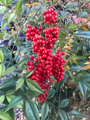 行願寺（革堂）(京都府)