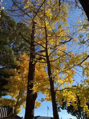 玉前神社(千葉県)