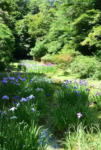 明治神宮(東京都)