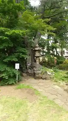 観音寺（世田谷山観音寺）(東京都)