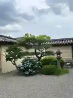 東寺(教王護国寺)の自然