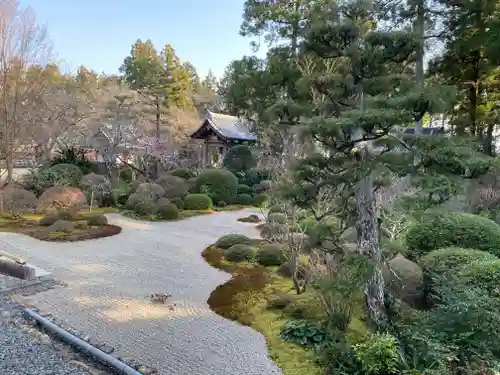 龍潭寺の庭園