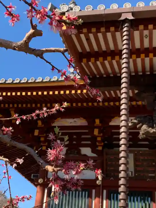 慈恩寺(埼玉県)