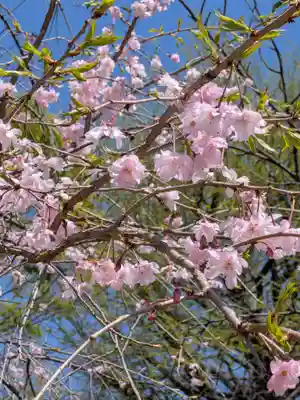 鳩森八幡神社(東京都)