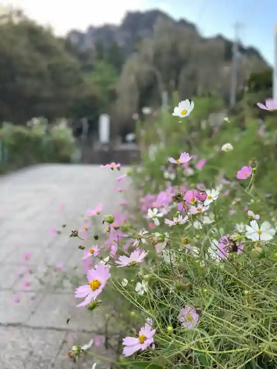 妙義神社(群馬県)