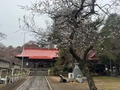 長者山新羅神社(青森県)