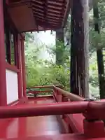 飛瀧神社(熊野那智大社別宮)(和歌山県)