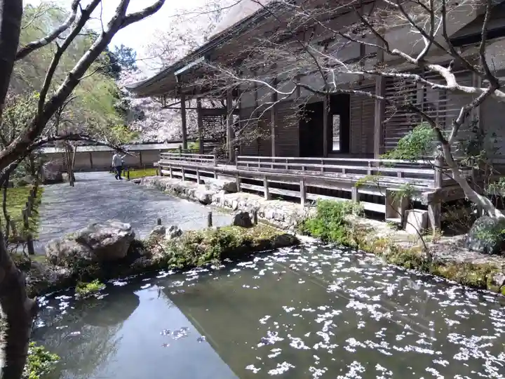 常照皇寺(京都府)