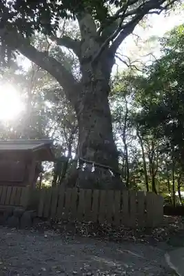 磯神社(三重県)