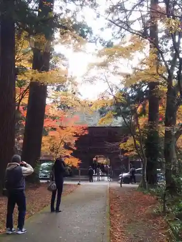 大矢田神社の山門