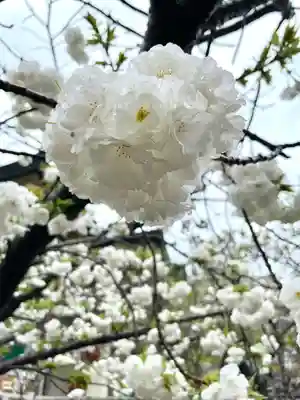 難波八阪神社(大阪府)