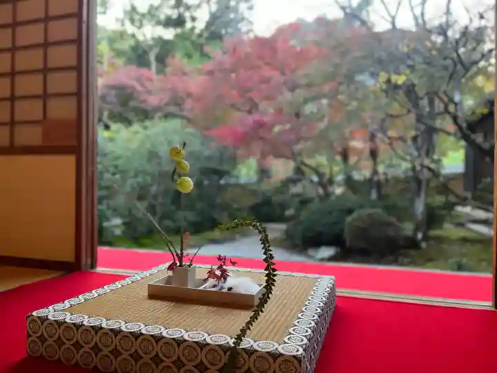 光明寺(粟生光明寺)(京都府)