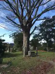 米子八幡神社の建物その他