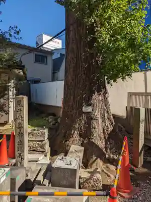 清土鬼子母神堂(東京都)