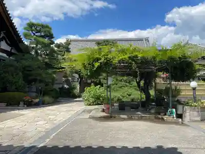 慈眼寺(京都府)