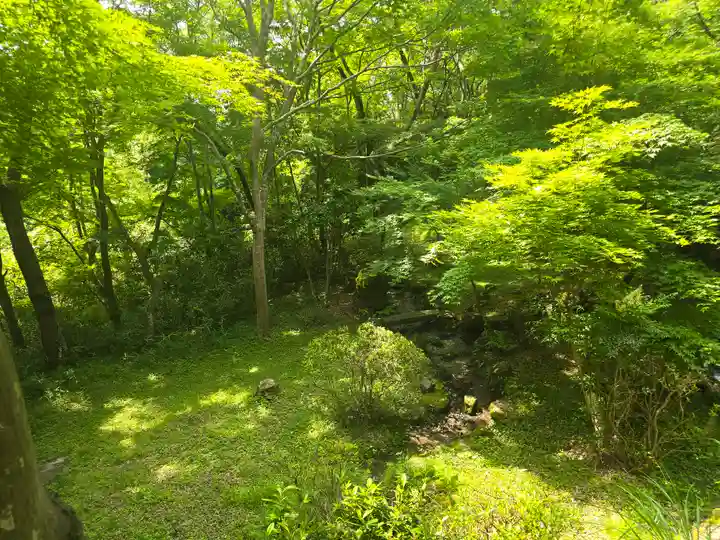 勝持寺(花の寺)(京都府)