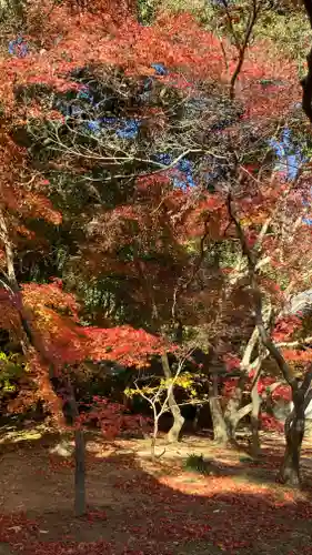曹源寺(岡山県)