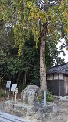 稗田野神社(薭田野神社)(京都府)