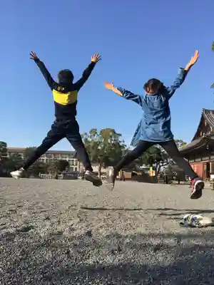 東寺（教王護国寺）(京都府)
