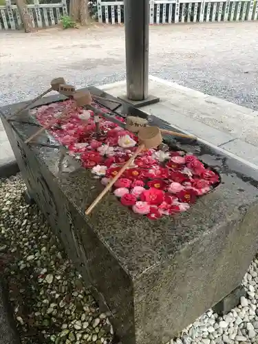函館八幡宮の手水舎
