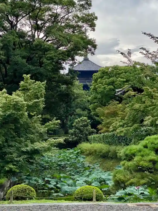 東寺(教王護国寺)のその他建物