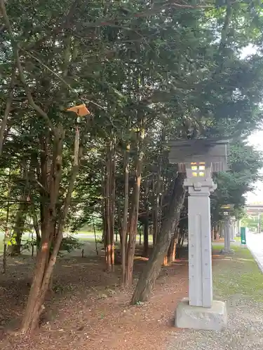 帯廣神社の自然