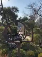 清水観音堂の庭園