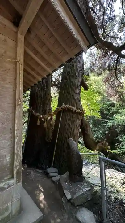 神龍八大龍王神社(熊本県)