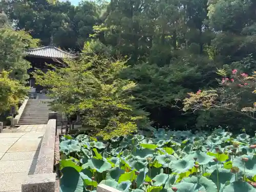 知恩院(京都府)