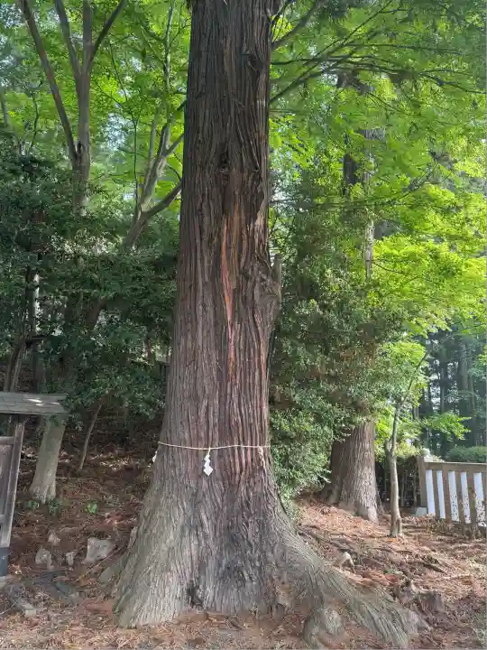 木幡神社(栃木県)