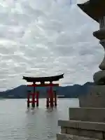 厳島神社の{uncategorized: "未分類", other: "その他", undefined: "問題あり", building: "その他建物", grave: "お墓", sacred_gate: "鳥居", guardian: "狛犬", statue: "像", buddha: "仏像", history: "歴史", nature: "自然", garden: "庭園", animal: "動物", pagoda: "塔", temizu: "手水舎", mountain_gate: "山門・神門", sanctuary: "本殿・本堂", subordinate: "末社・摂社", art: "芸術", scenery: "景色", jizo: "地蔵", ema: "絵馬", goshuin: "御朱印", omikuji: "おみくじ", items: "授与品その他", amulet: "お守り", goshuincho: "御朱印帳", eats: "食事", festival: "お祭り", votive_dance: "神楽", shichigosan: "七五三参", wedding: "結婚式", experience: "体験その他", initially: "初詣", around: "周辺", anti_infection: "感染症対策"}