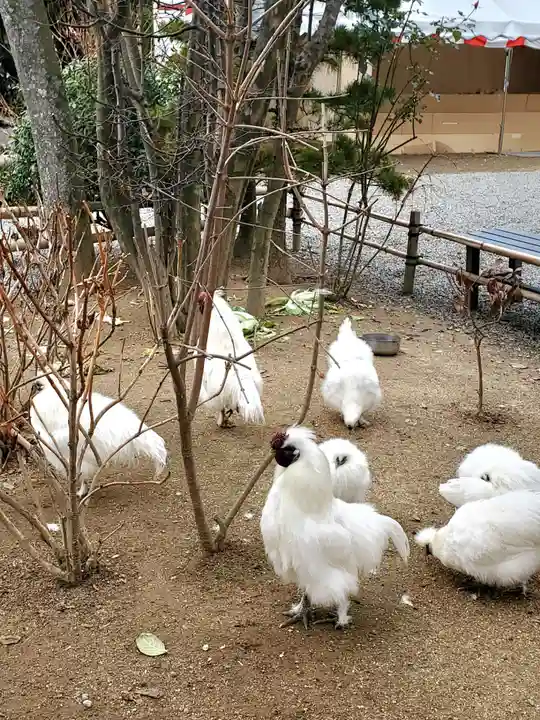 高屋敷稲荷神社(福島県)