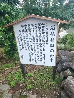 多宝寺(埼玉県)