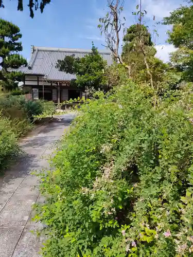 圓光禅寺（円光寺）の本殿・本堂
