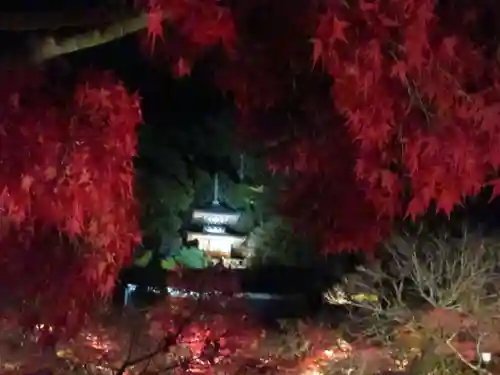 禅林寺（永観堂）の景色