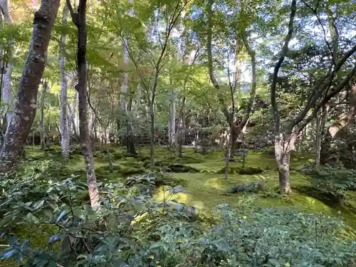 祇王寺(京都府)