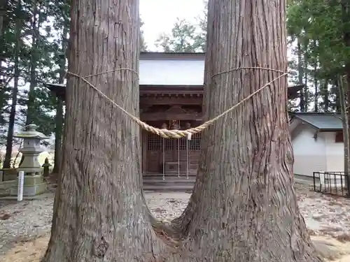 八雲神社・境内飯豊和気神社遥拝殿の自然